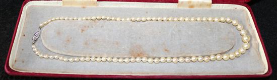 Single strand cultured pearl necklace